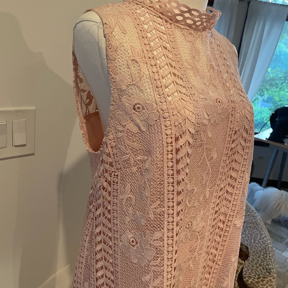 BB Dakota Sheri Pink Lace Sleeveless Dress NWT Medium - Picture 4 of 7